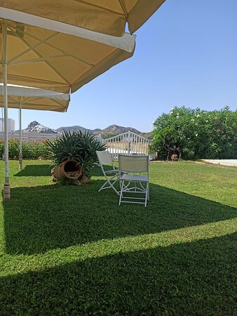 Agalipa Studios主图