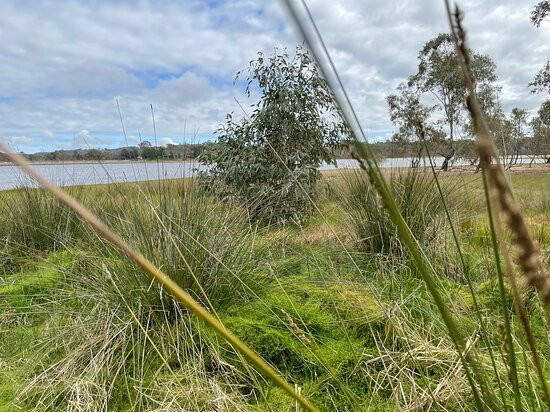 Barkers Creek Reservoir-Harcourt必去景点