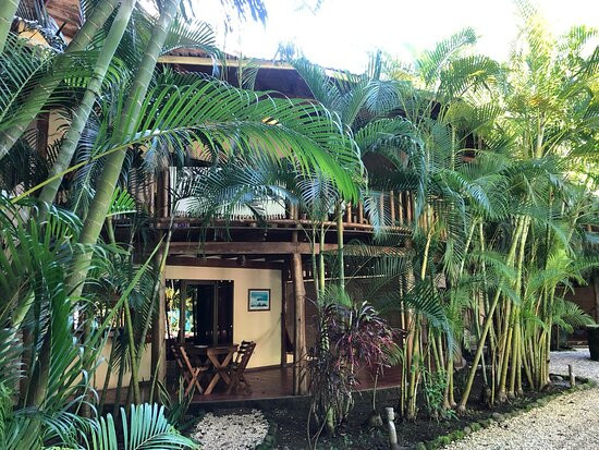 Pacífica Surf Studios主图