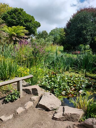 Howard Davis Park-St. Helier必去景点