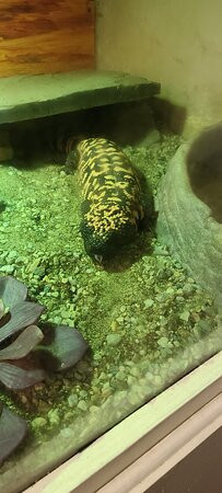 The Children's Museum-西哈特福德必去景点