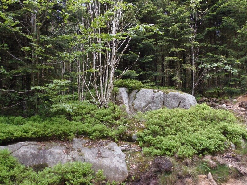 Le Plateau De La Loge-des-gardes
