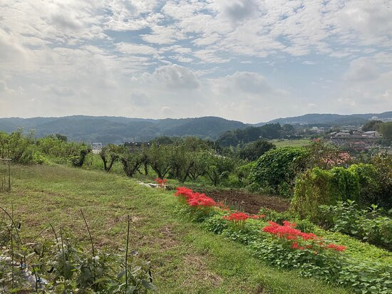 Mt. Hiwada-日高市必去景点