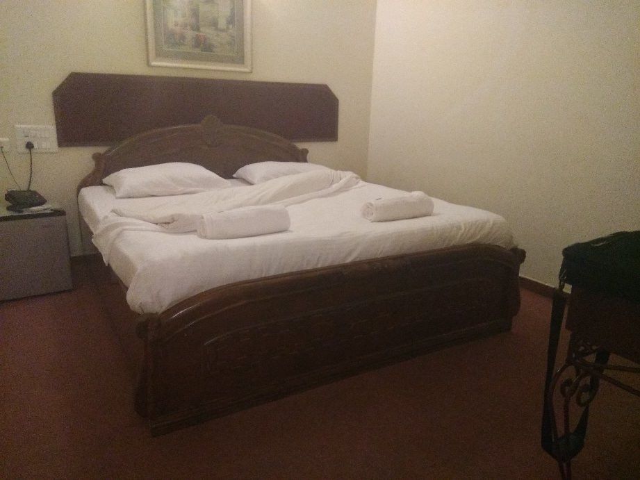 The Hotel Raja Palace主图