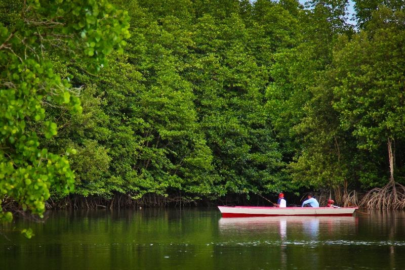 巴厘巴板旅游景点-Mangrove Center Graha indah