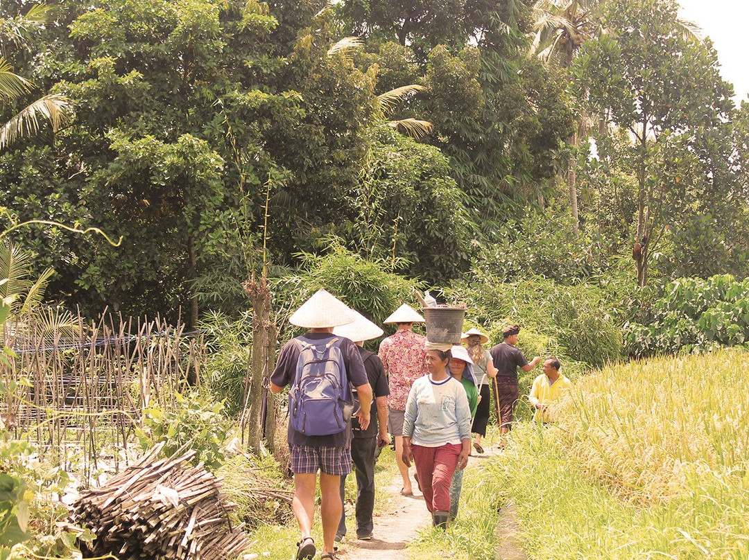 Temuku Aya - Bali Farming Life-达巴南必去景点