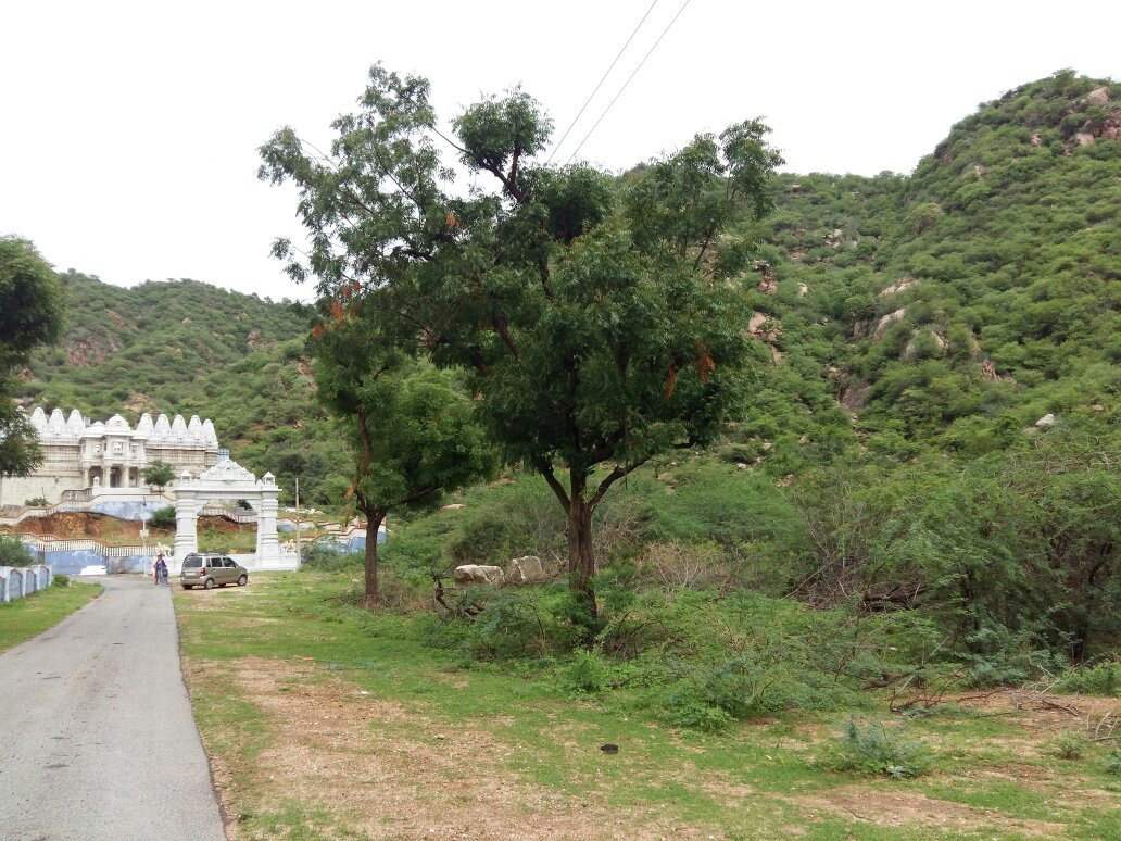 Mirpur Temple景点图片