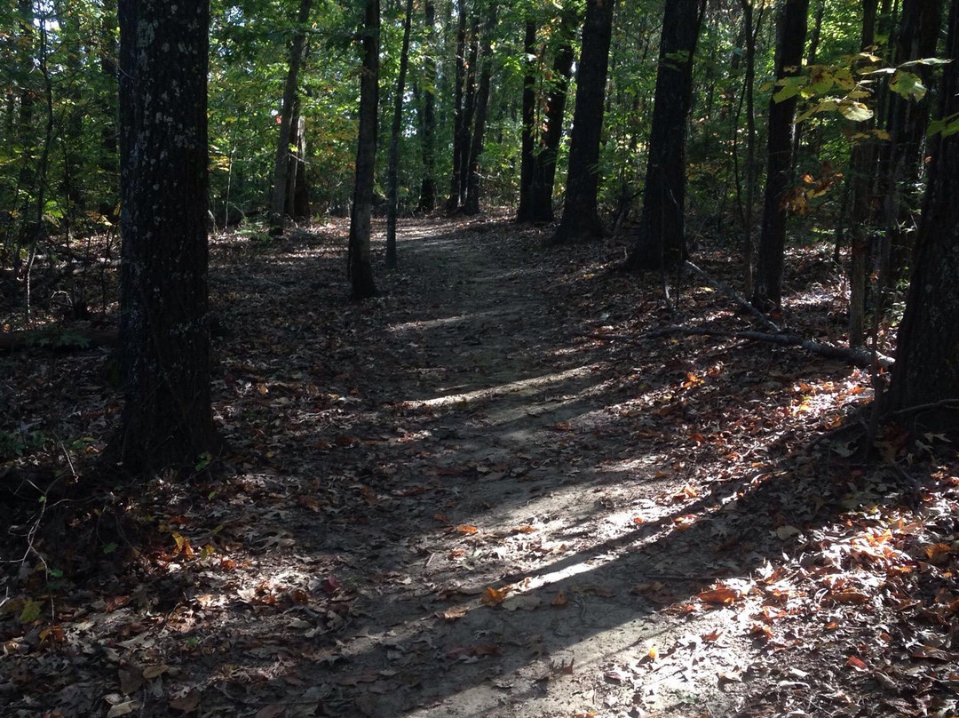 Davidsonville Historic State Park景点图片