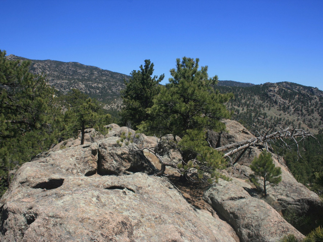 Lyons旅游攻略图片