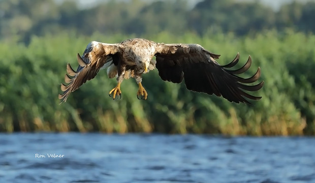 Kopice旅游攻略图片