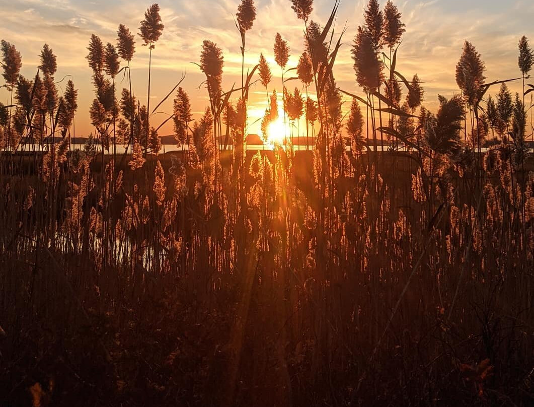 Parker River National Wildlife Refuge-纽伯里波特必去景点