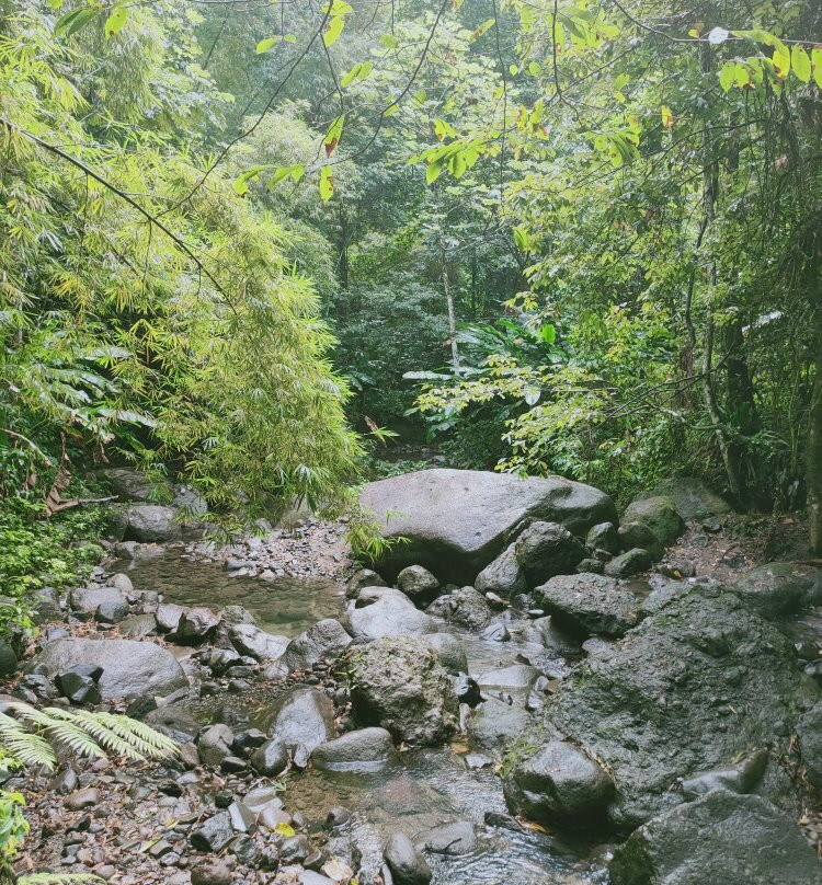 Fontaine Didier-法兰西堡必去景点