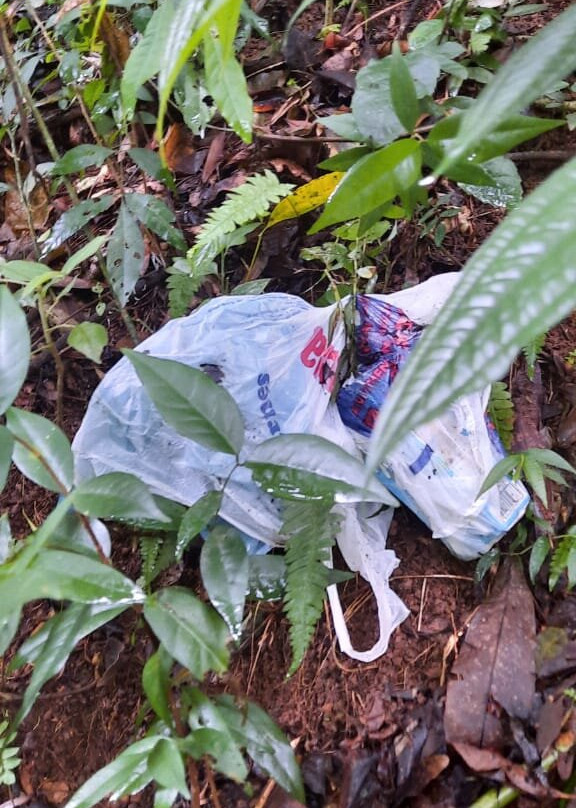 Cachoeira da Graça-Cotia必去景点