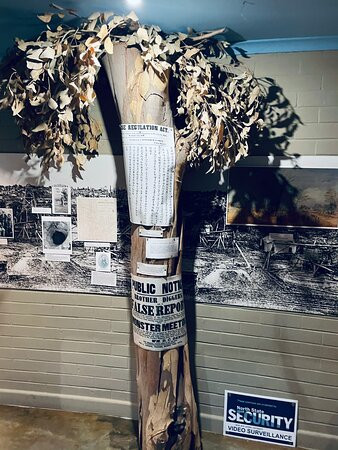 Golden Dragon Museum-本迪戈必去景点