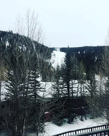 Slopeside Lodge主图