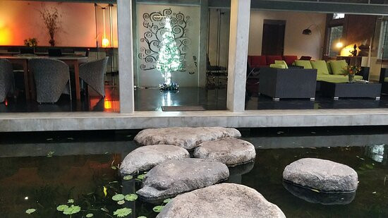 Temple Tree Retreat主图