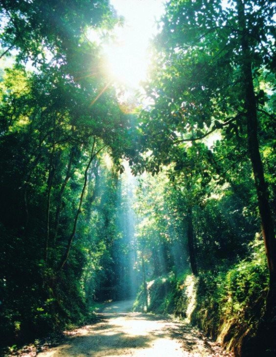 Centro Marista Sao Jose Das Paineiras主图