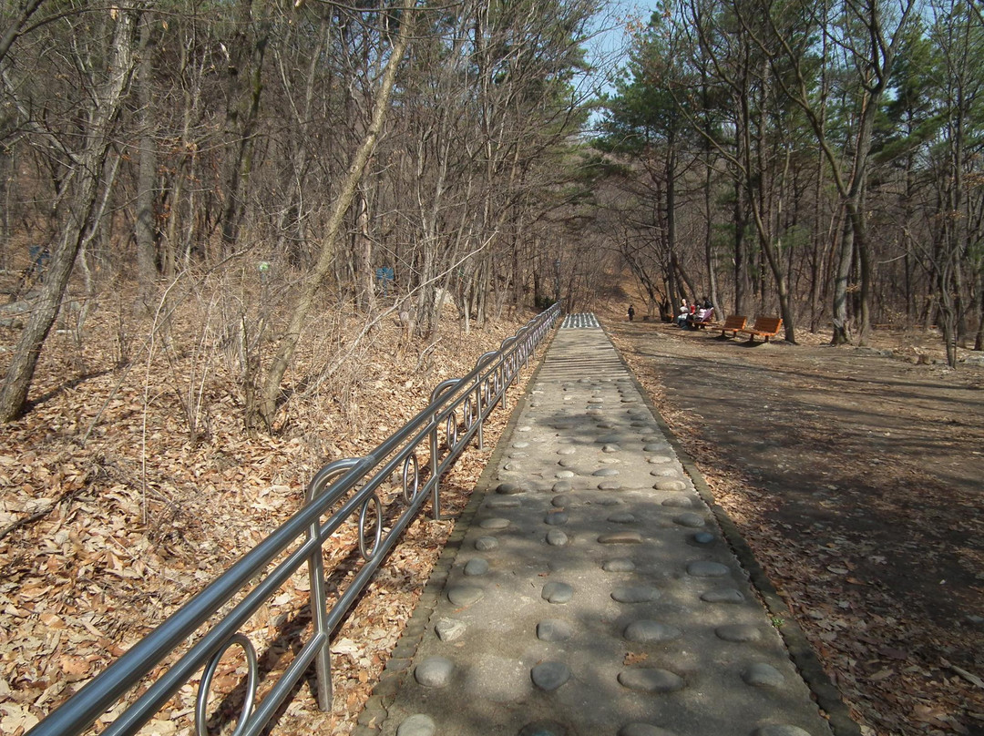 Surisan Land-军浦市必去景点