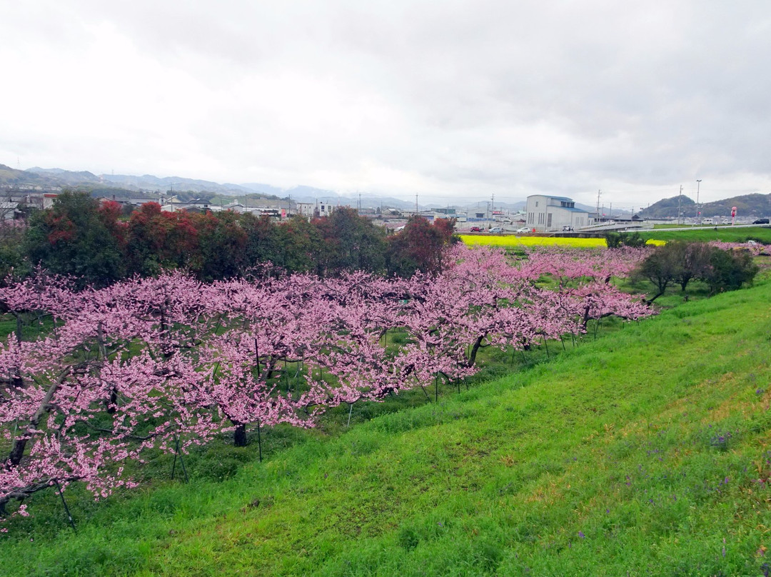 纪之川市旅游景点-Togenkyo