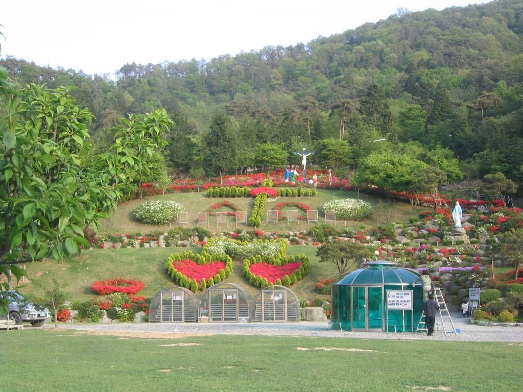 罗州市旅游攻略图片