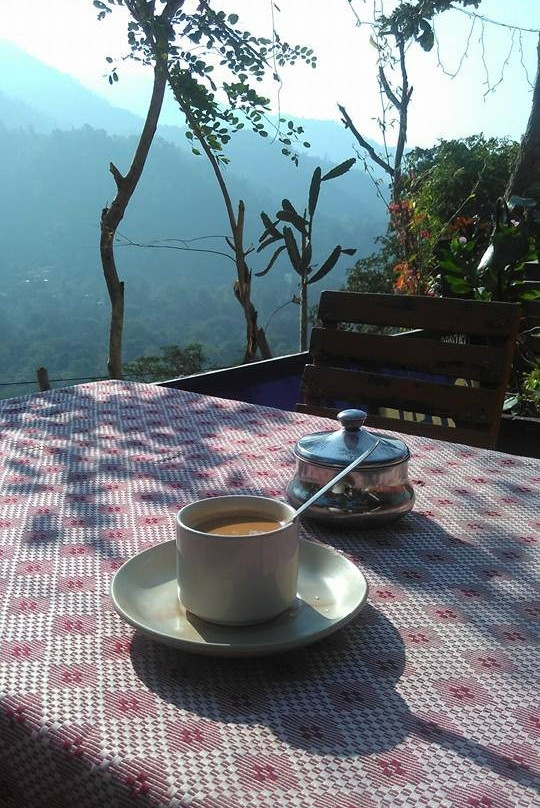 Bhandari Swiss Cottage景点图片