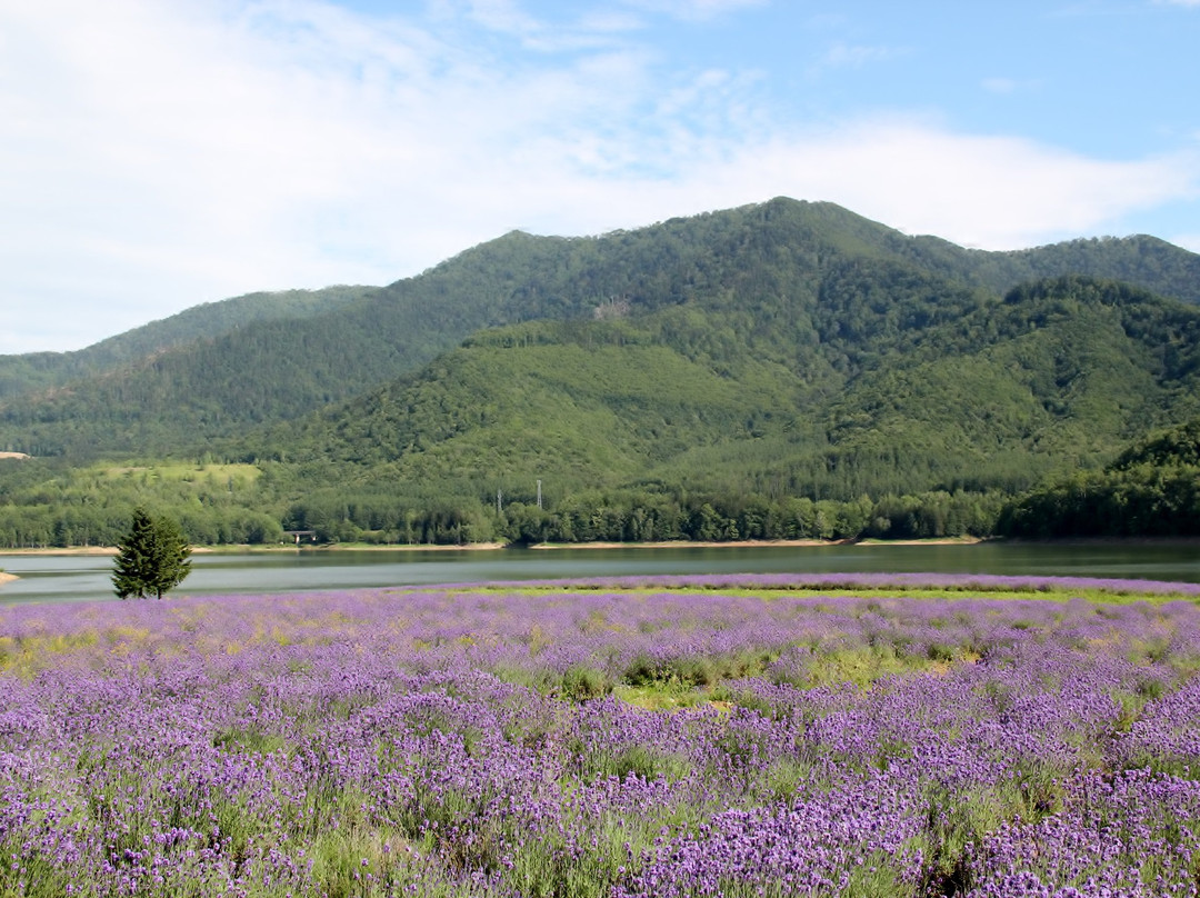 南富良野町旅游景点-Lake Kanayama