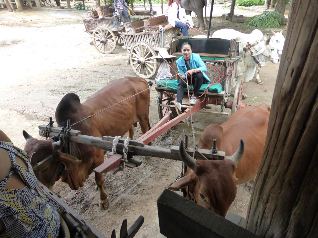 Thai Buffalo Training Camp-清迈必去景点
