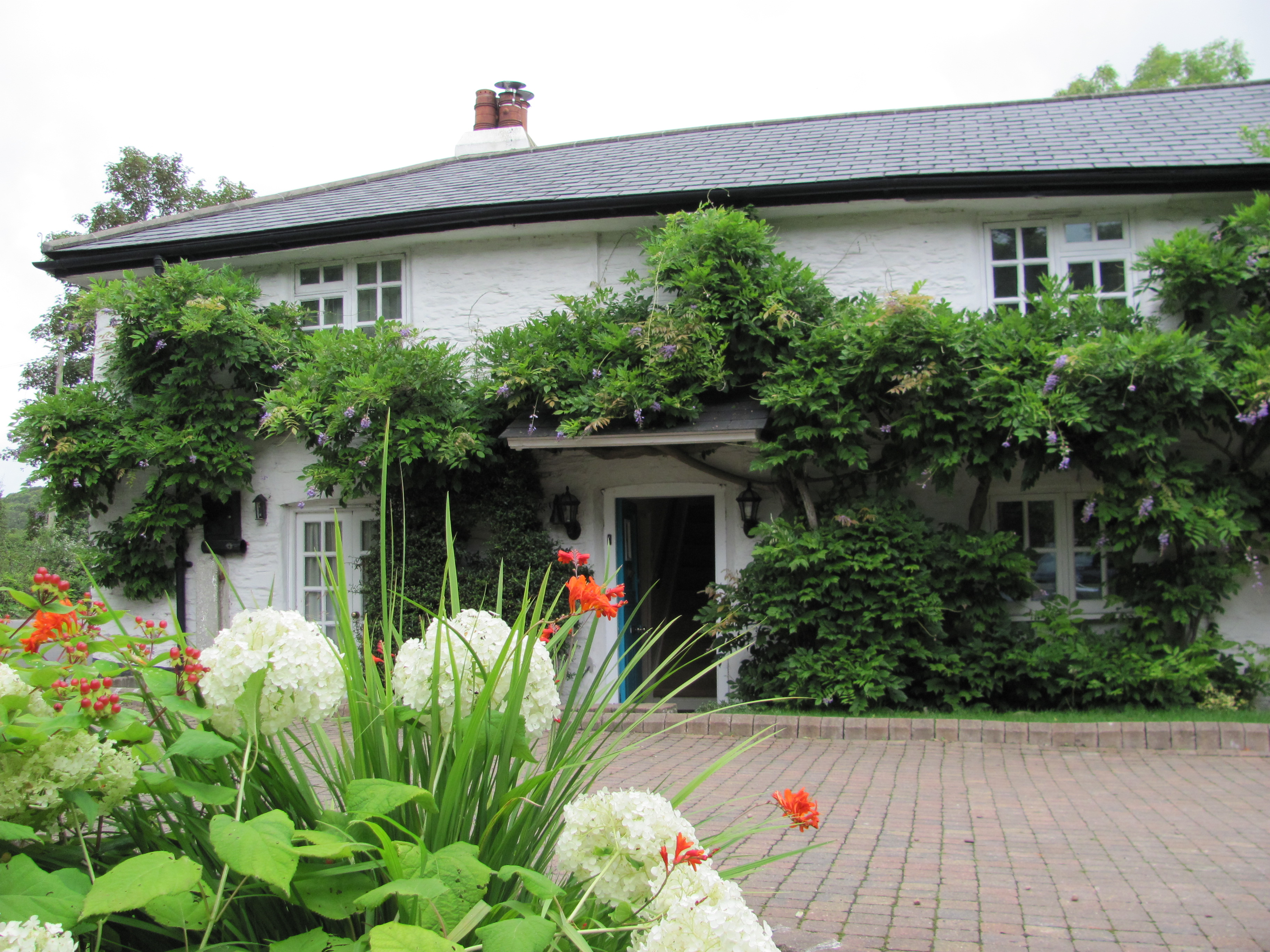 The White House-客卧