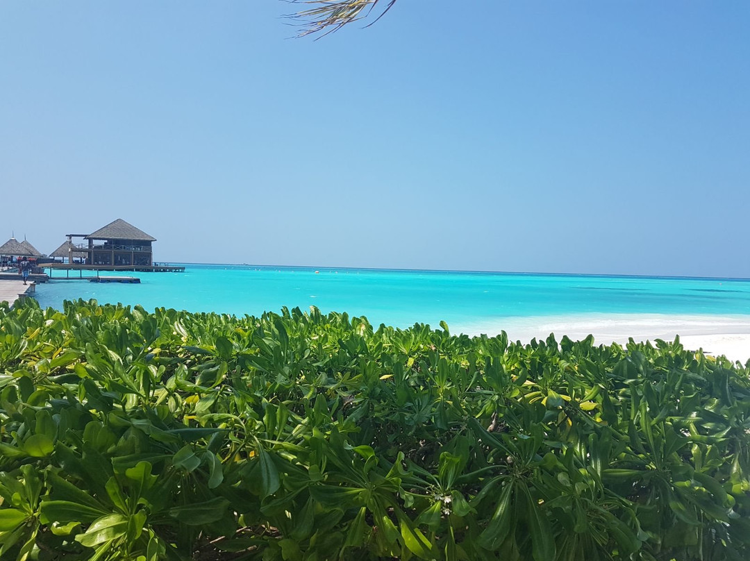 卡尼翡诺岛旅游攻略图片