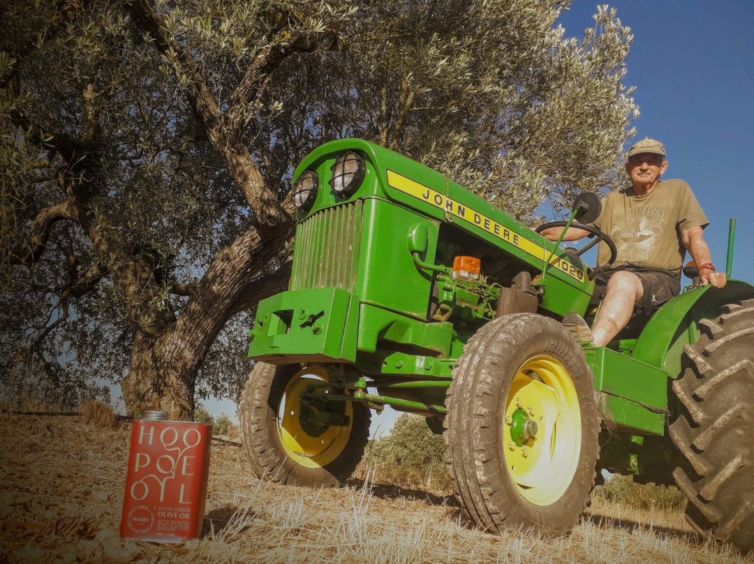 Maree Olive Farm景点图片