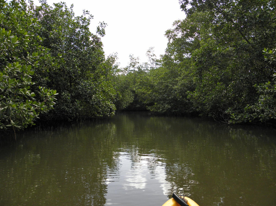 Ducos旅游攻略图片