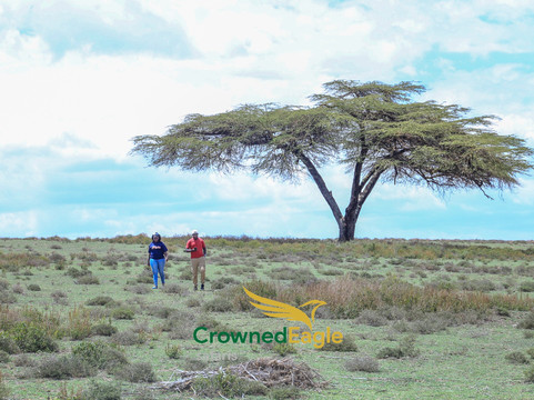 Crowned Eagle Safaris Limited