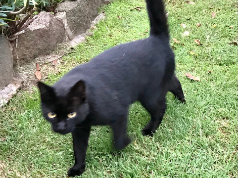 Glencoe旅游攻略图片