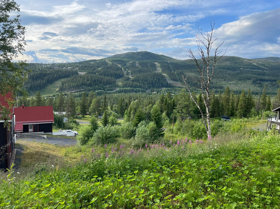 Hoglekardalens Semesterby Cottages