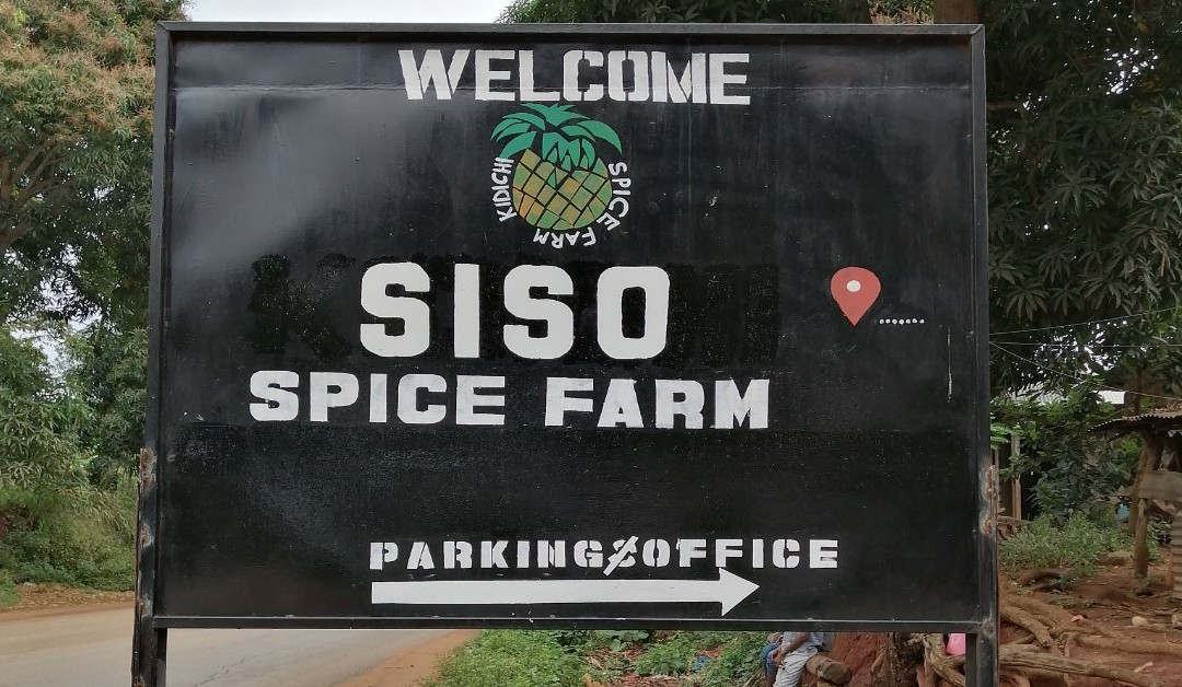 Siso Spice Farm景点图片