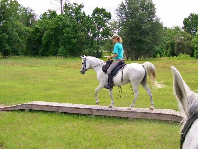 R.O. Ranch Equestrian Park-Mayo必去景点