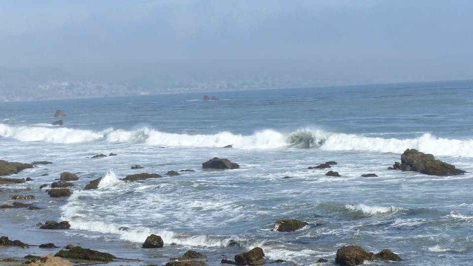 Estero Bluffs State Park景点图片