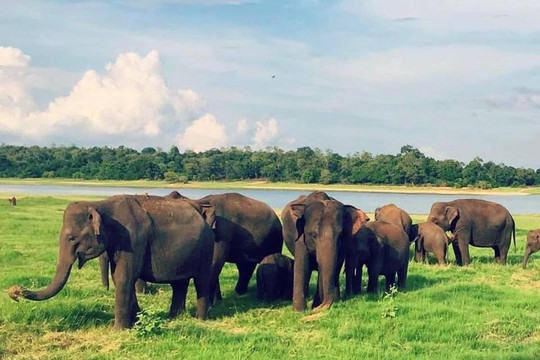 Rapid Luck Tours-加勒必去景点
