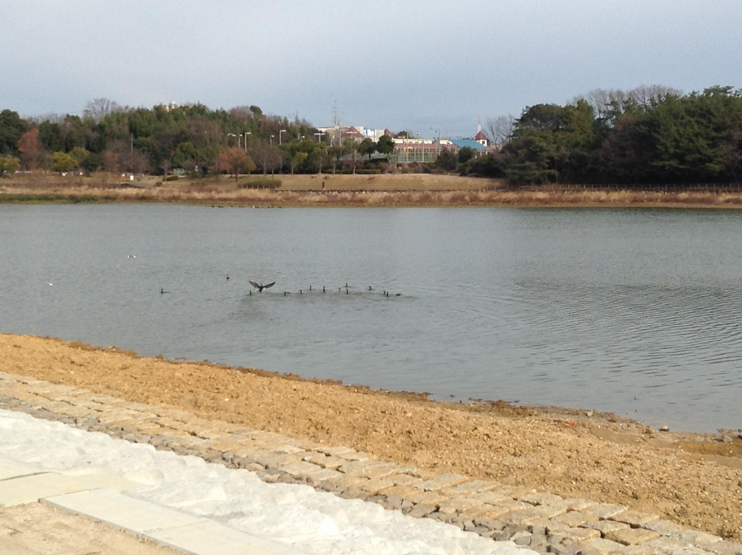 Suhara Park景点图片