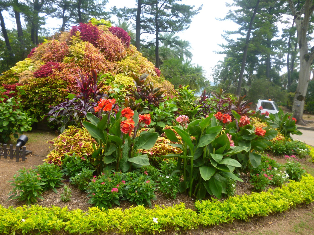Miyakoh Botanic Garden Aoshima景点图片