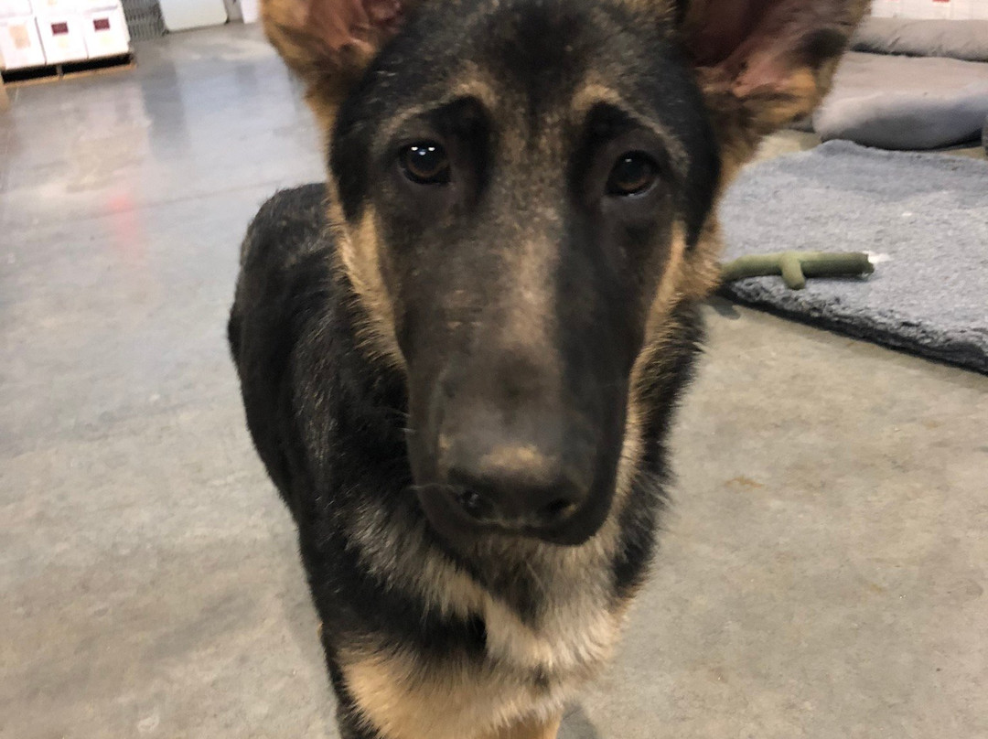 D'Alfonso-Curran Winery