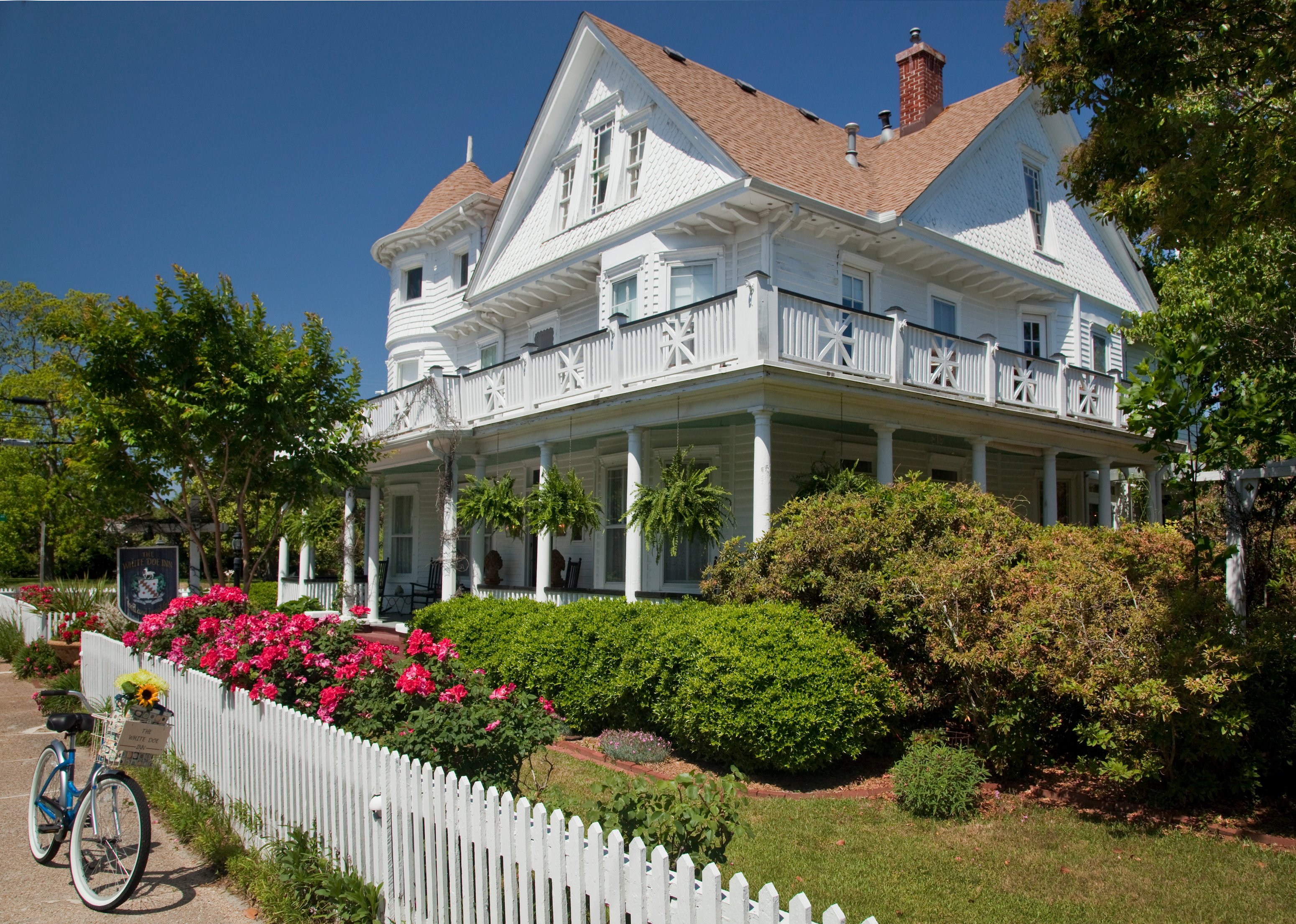 White Doe Inn-官方