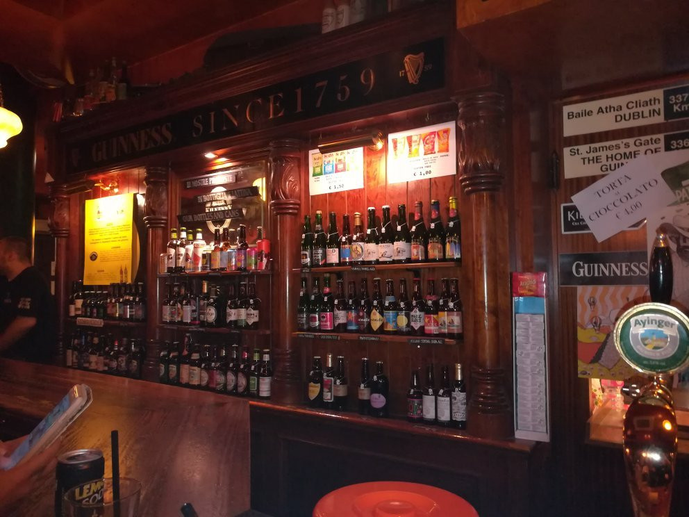Irish Pub Celtic Druid-博洛尼亚必去景点