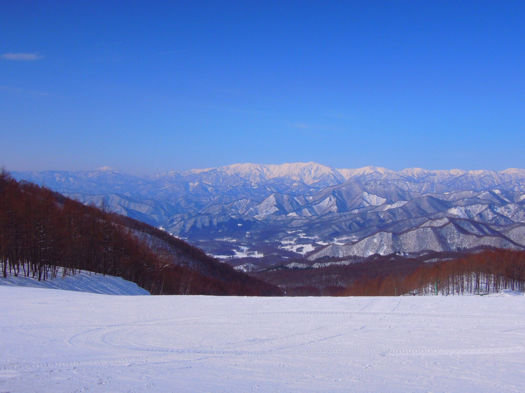 Aizu Kogen Takatsue Ski Area景点图片