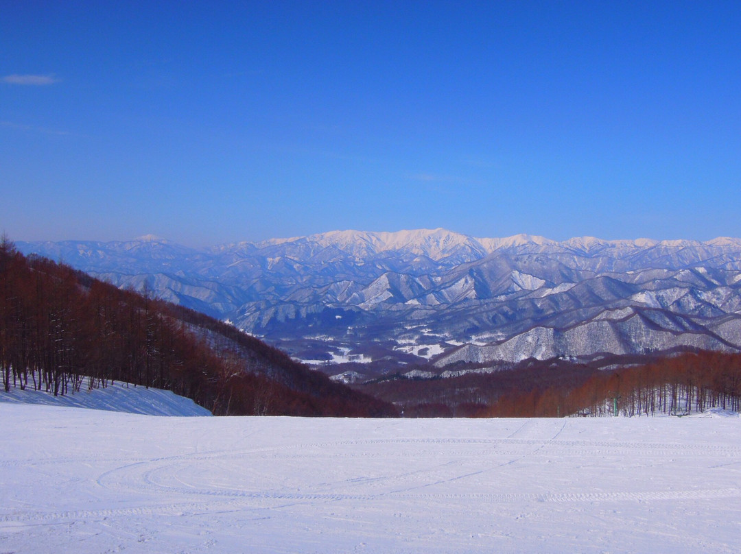 Aizu Kogen Takatsue Ski Area-南会津町必去景点