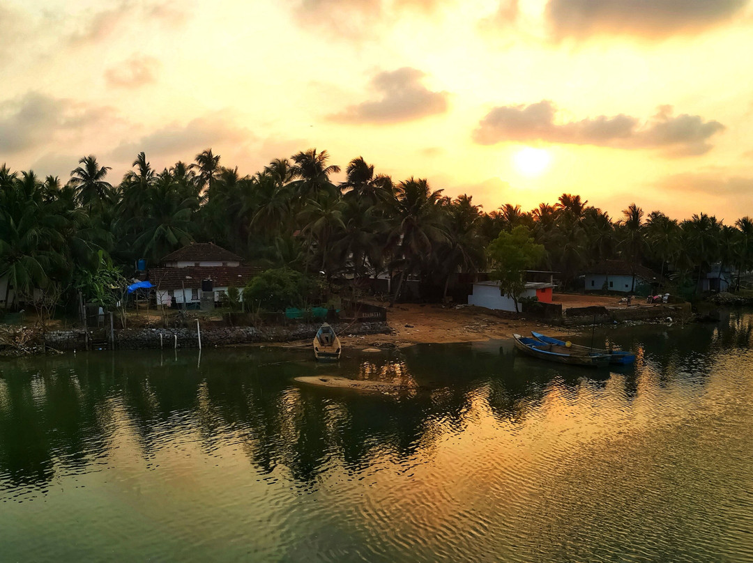 Paradise Lagoon主图