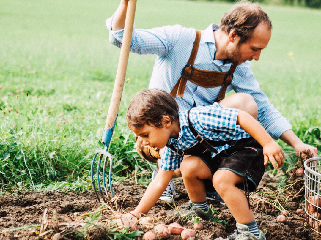 斯特恩家庭兰德酒店主图