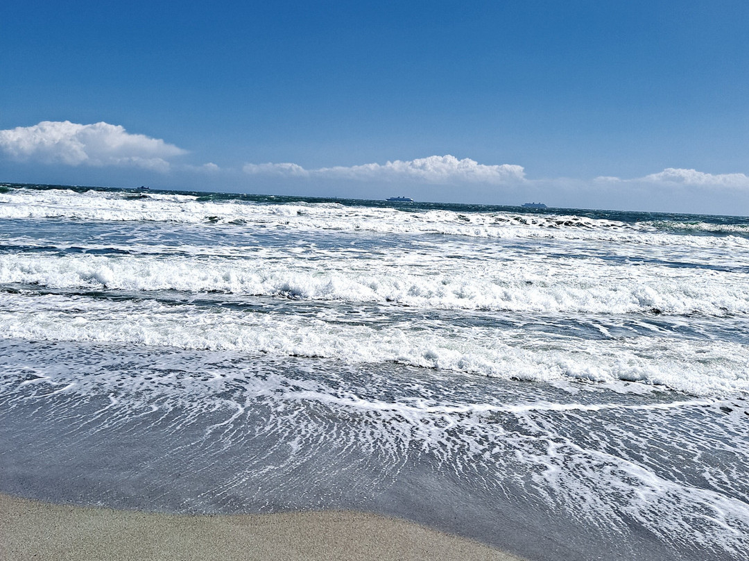 Best Western Plus St. Augustine I-95主图