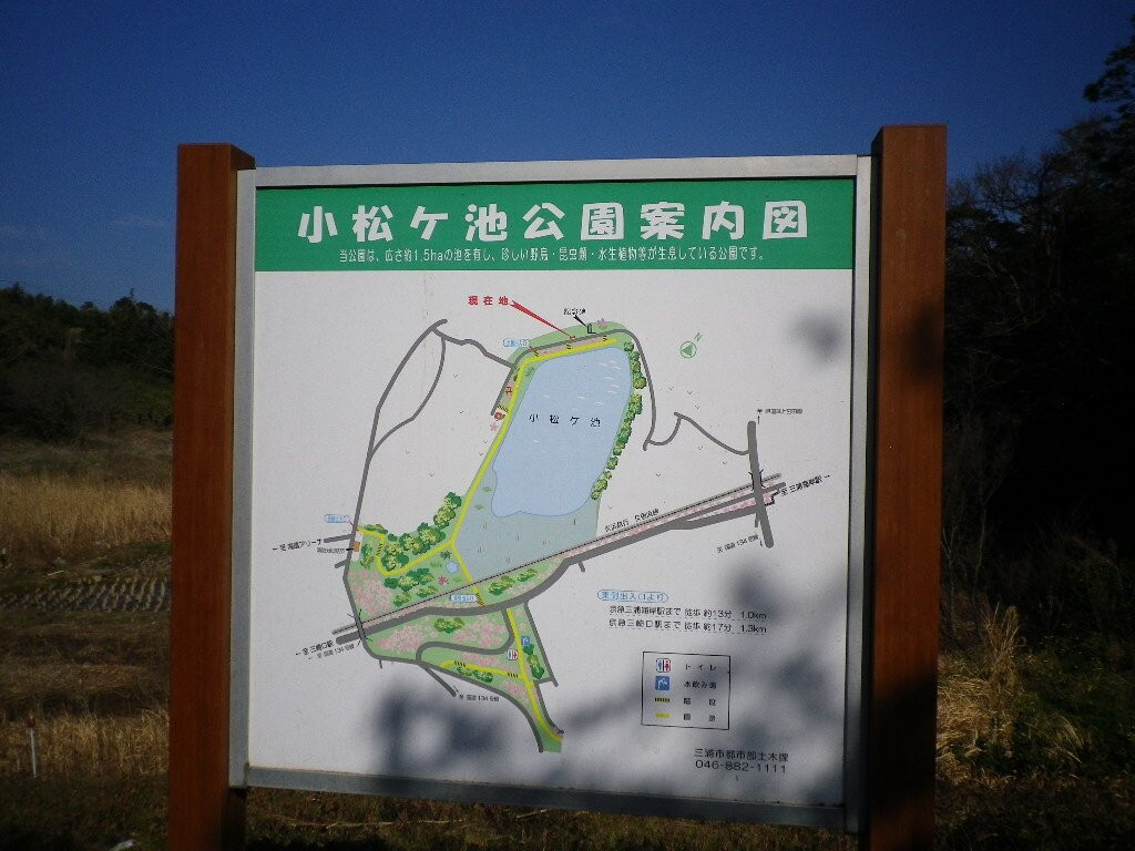 Komatsugaike Park-三浦市必去景点