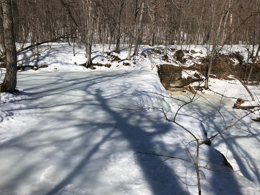 Nerstrand Big Woods State Park景点图片